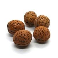 Perles noyau 18mm perles graines