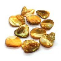 Perles gros chips coquillage jaune