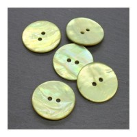 Bouton en nacre 23mm vert clair x5