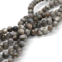 Perles rondes en coquillage 4mm gris x25