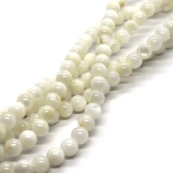25 Perles rondes en coquillage 4mm naturel
