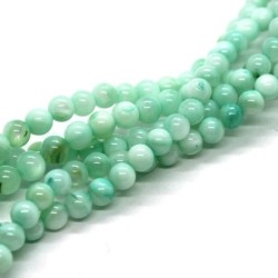 25 Perles rondes en coquillage 4mm vert menthe