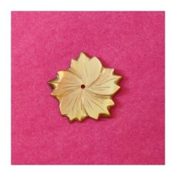 Fleur en nacre taillée 40mm blanc