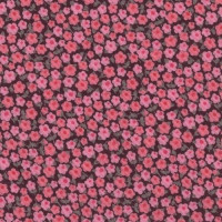 Cordon Liberty Phoebe rose x 10cm