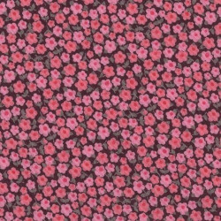 Cordon Liberty Phoebe rose x 10cm