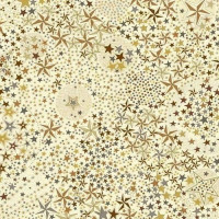 Biais Liberty Adelajda marron x 10cm