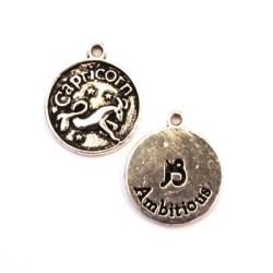 Pendentif zodiaque Capricorne 20mm
