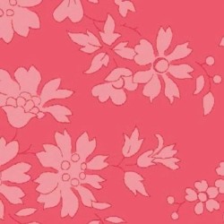 Biais Liberty Capel saumon x 10cm